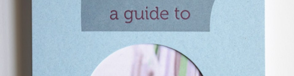 Guide to Belgrade